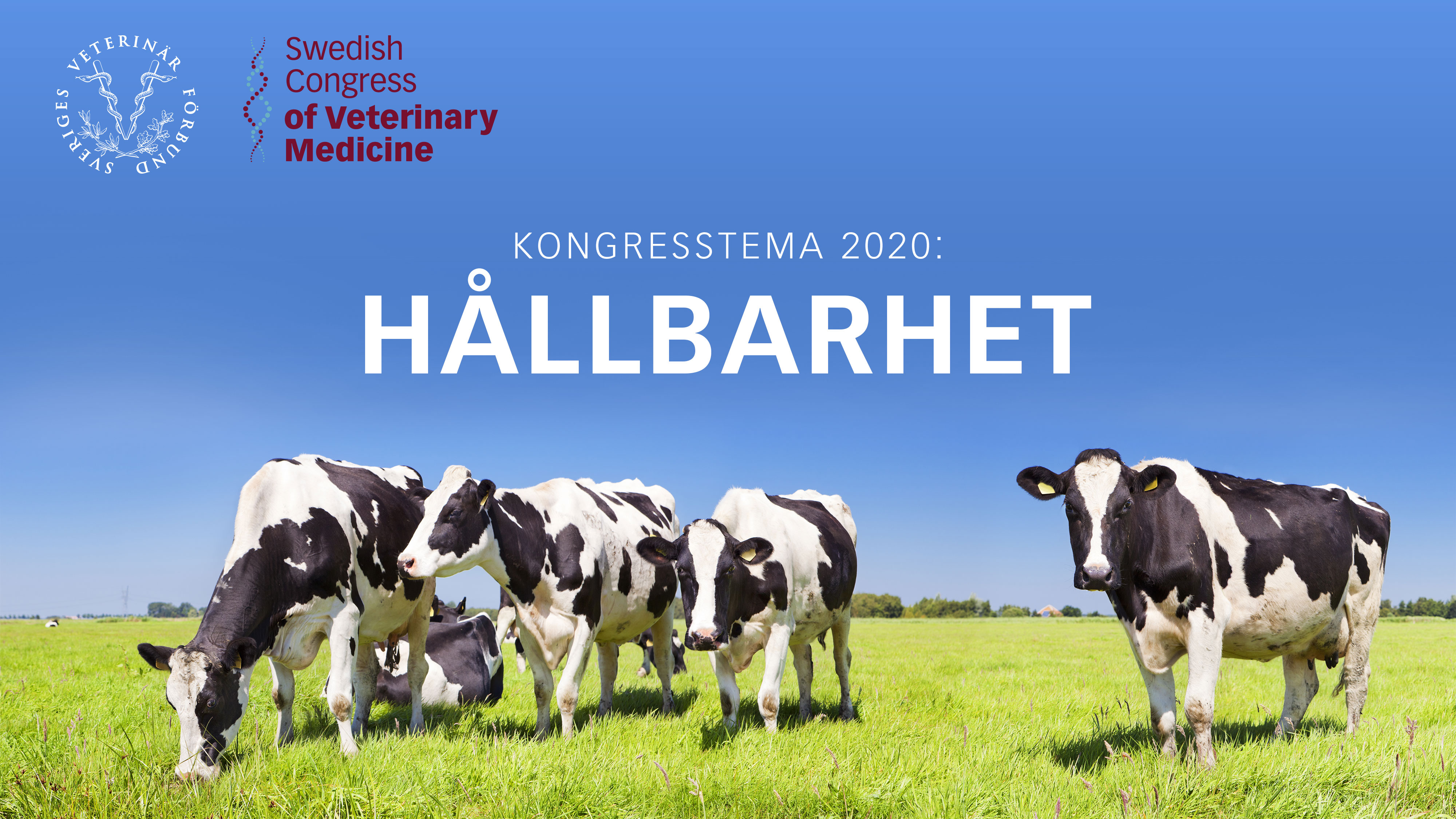 Tema Hållbarhet