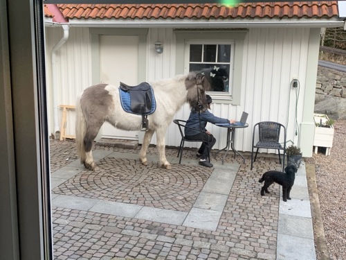 Bild examination 2027 öppnat.JPEG