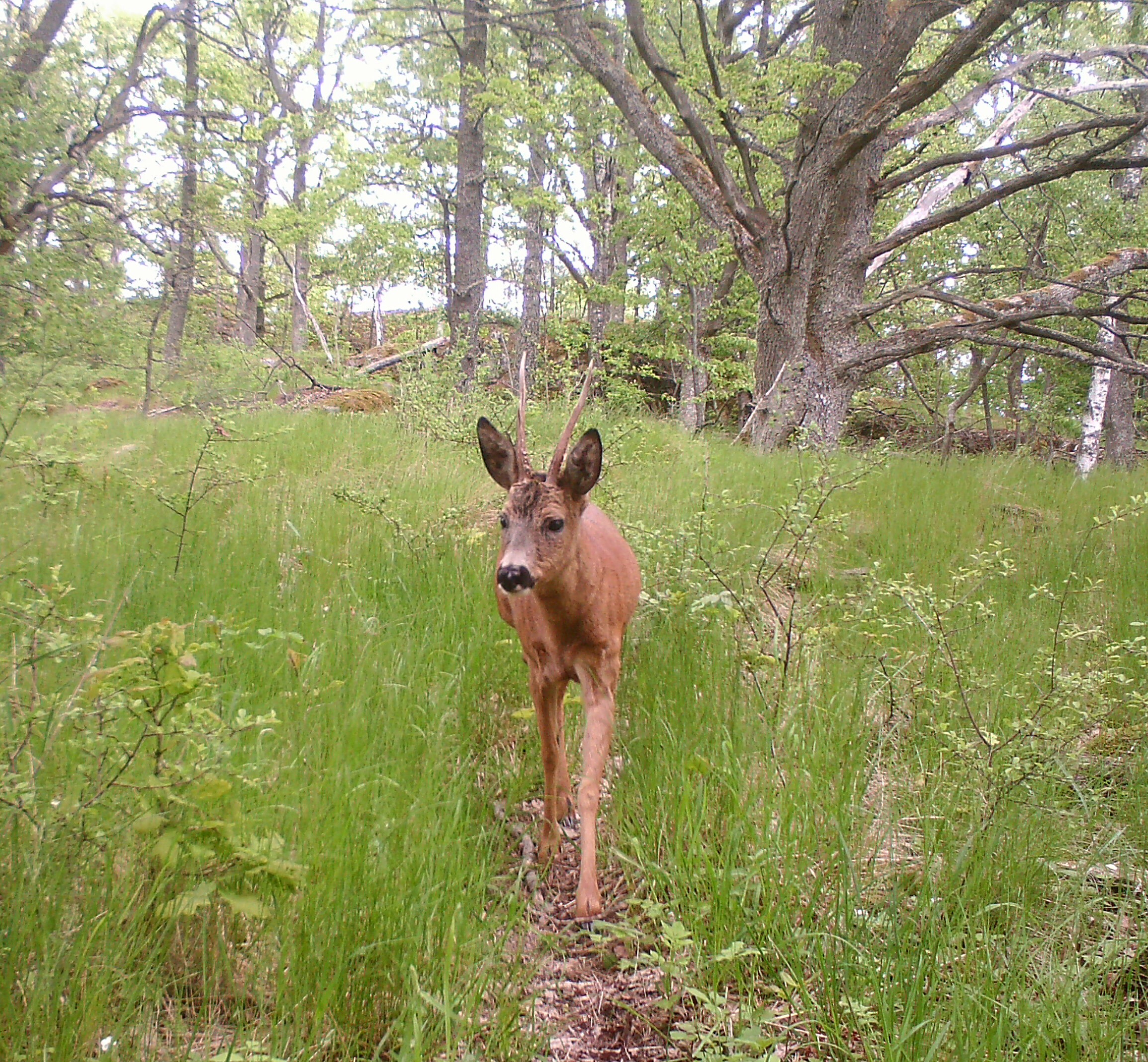 C29AFD8E 453C 4670 95D5 C8EAC0F0D38E